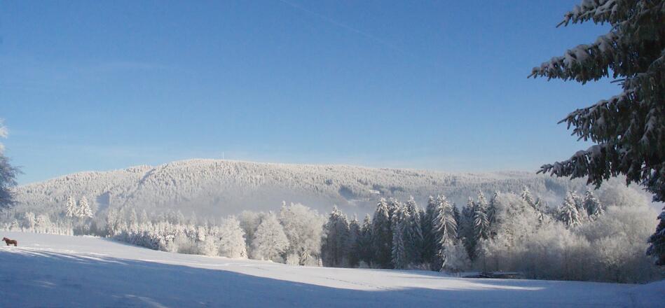 Terrassenaussicht zum gegenüberliegenden Pröller (1048 m)