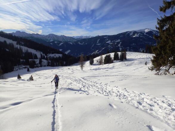 Auf den flachen Hängen unterhalb der Windraucheggalm