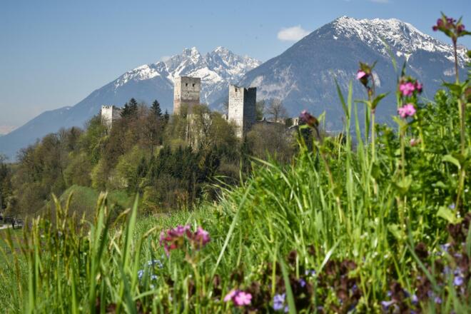 Ausblick Burgruine Kropfsberg im Frühling