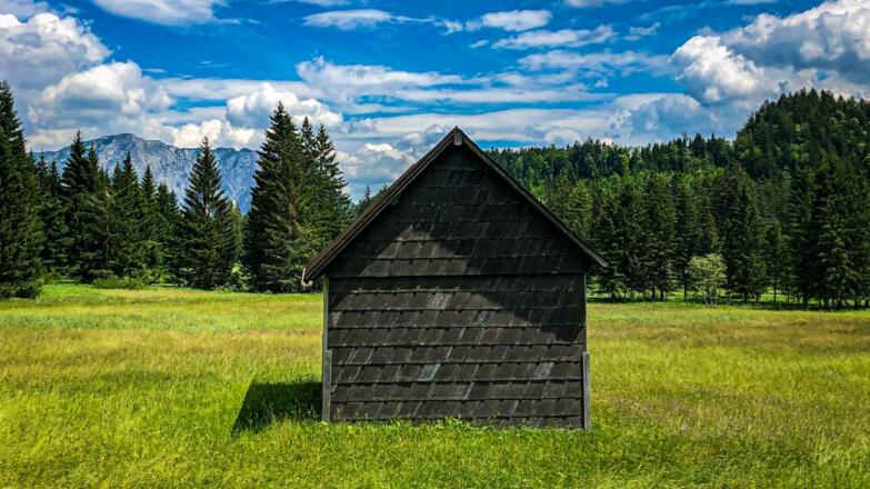Waldgraben Hochmoor