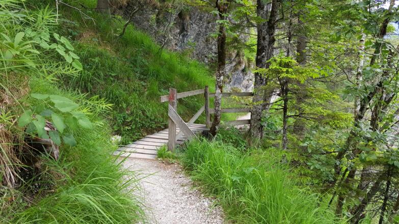 Herrliche Wanderpfade