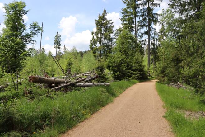Erlebnisweg Seebach