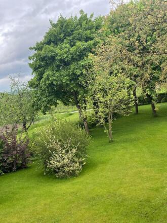 Ausblick in den Garten