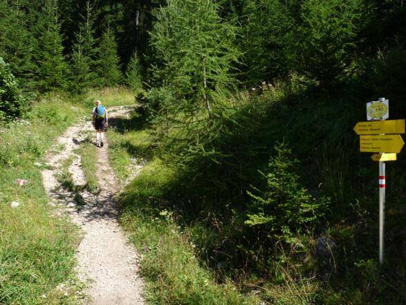 Einmündung in den Steig Nr. 413 der zur Dalfazalm führt.