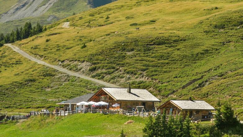 Hochsonnbergalm - die gemütliche Alm lädt zum Entspannen ein