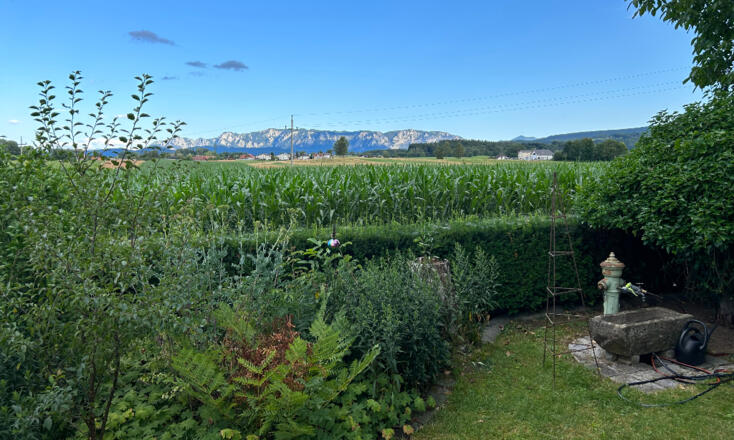 Fewo Schneeweiss Garten
