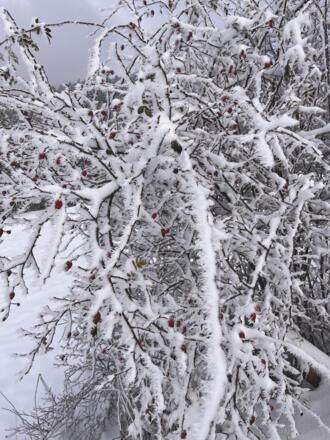 Winterzauber im Allgäu