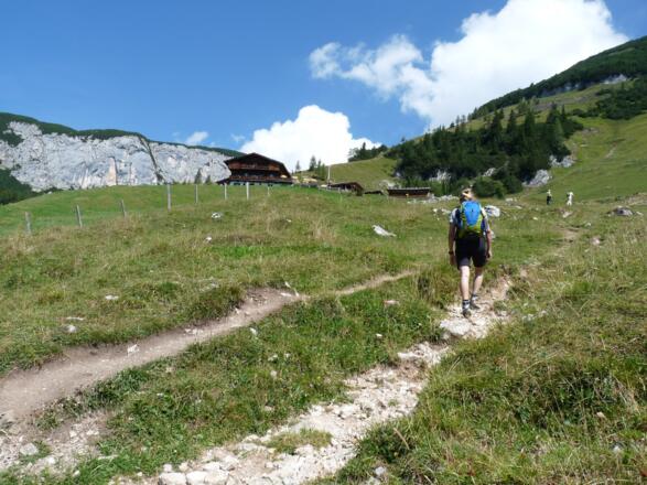 Weiter geht es hinauf zur bewirtschafteten Dalfazalm auf 1692 m.
