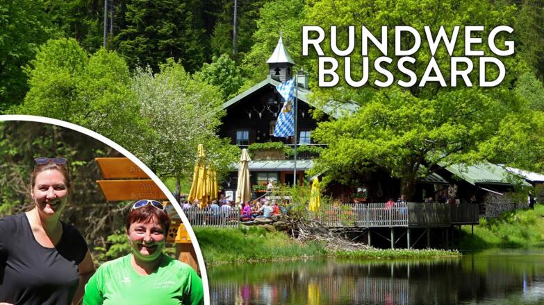 Unterwegs am Rundweg Bussard zum Schwellhäusl - Touren-Tipp im Nationalpark Bayerischer Wald