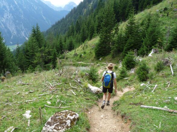 Direkt nordwestlich der Buchauer Alm kann man alternativ zur Forststraße über den Steig ins Tal absteigen.