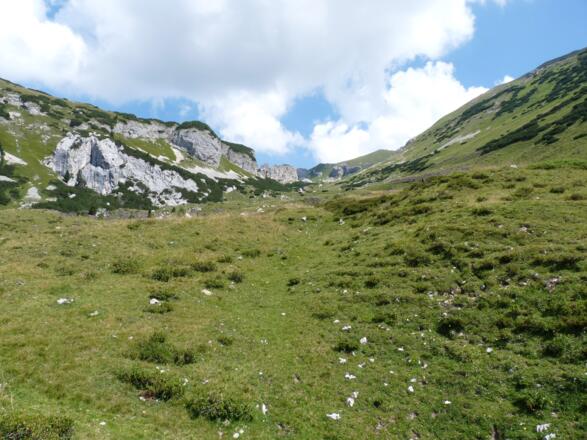 Sanft führt uns der Anstieg zwischen den Klobenjochwänden und dem Dalfazkamm zum Kotalmsattel.