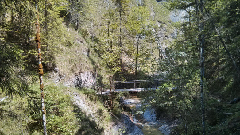 Auf dem Reitsteig von König Ludwig II