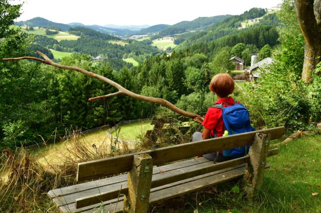 Blick ins Weißenbachtal