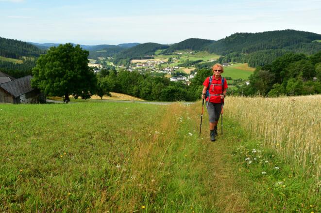 Blick ins Weißenbachtal