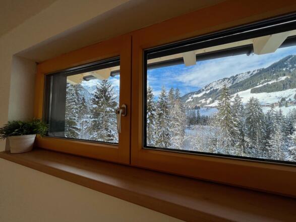 blick nach Mittelberg