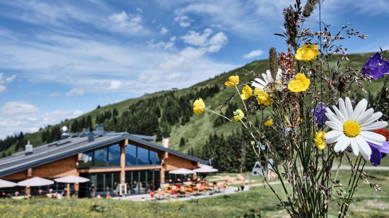 Nach der Wanderung die imposante Aussicht genießen