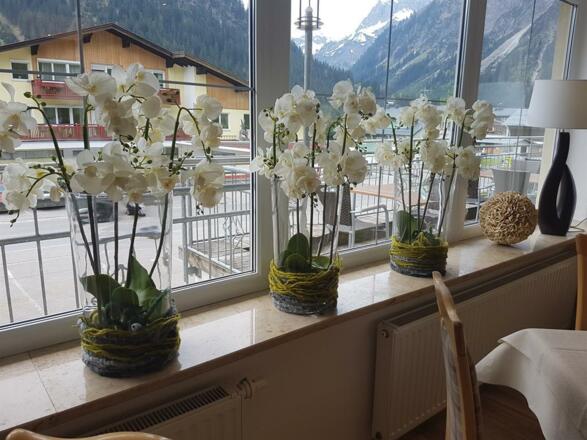 Neues restaurant
