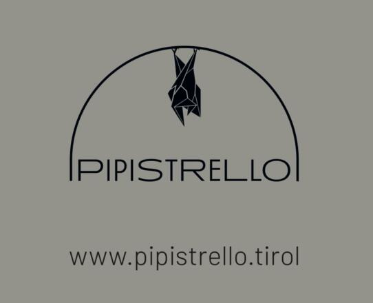 Pipistrello 6
