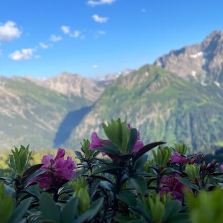 wandern