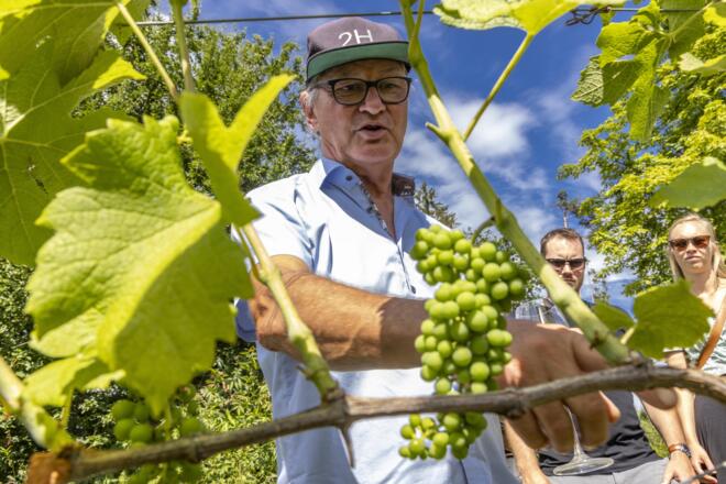 Winzer Wolfgang erklärt die Erziehungsmethoden am Weingut 2H
