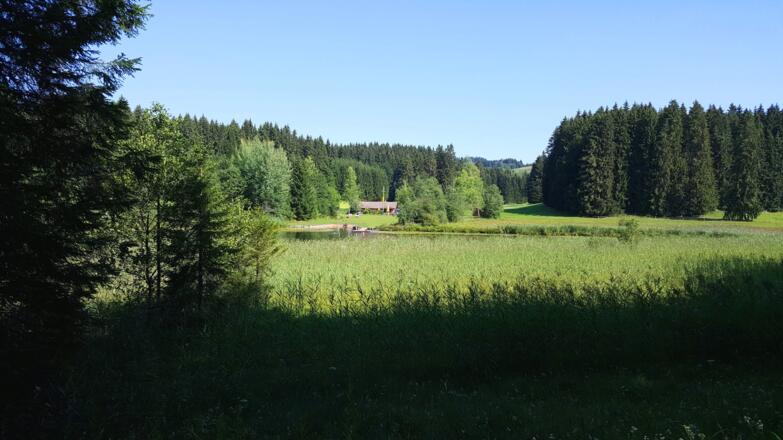 Faulensee. Im Hintergrund die Faulenseehütte mit Bademöglichkeit, Spielplatz und Biergarten.