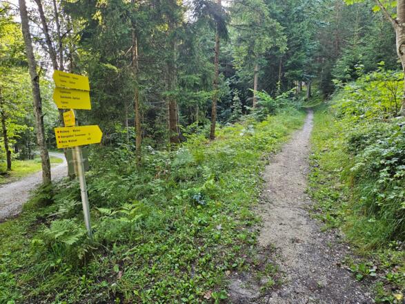 Abzweigung vom Forstweg auf den Kreuzweg