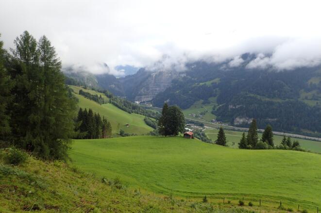 Am langen Forstweg zur Kokaseralm