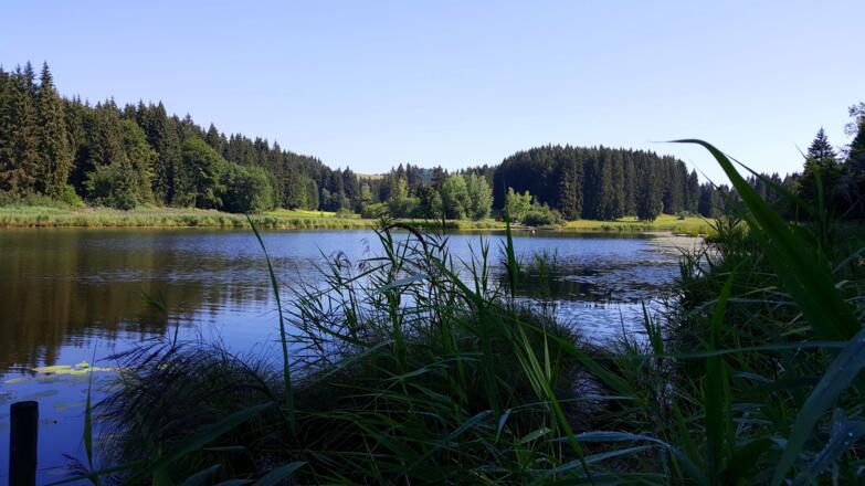 Faulensee