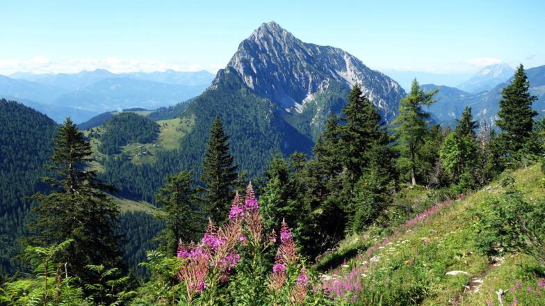 Bosruck von ~1500m