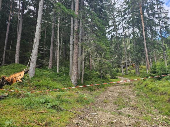Umgestürzte Bäume am Weg. Man kann die Stelle links umgehen