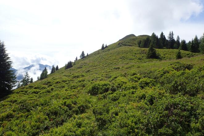 Am Gipfelrücken