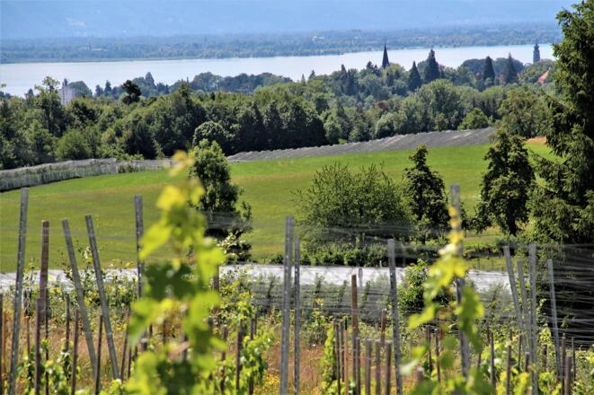 GenussZeit - Malen mit Aussicht auf die Bregenzer Bucht