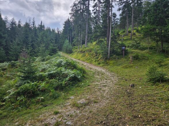 Kreuzweg mit schönen Bildtafeln