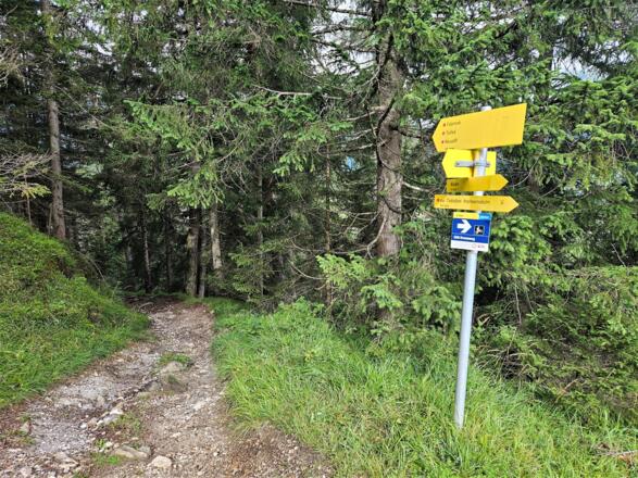 Wegweiser nach der Einmündung des Kreuzwegs in den MTB Weg 599