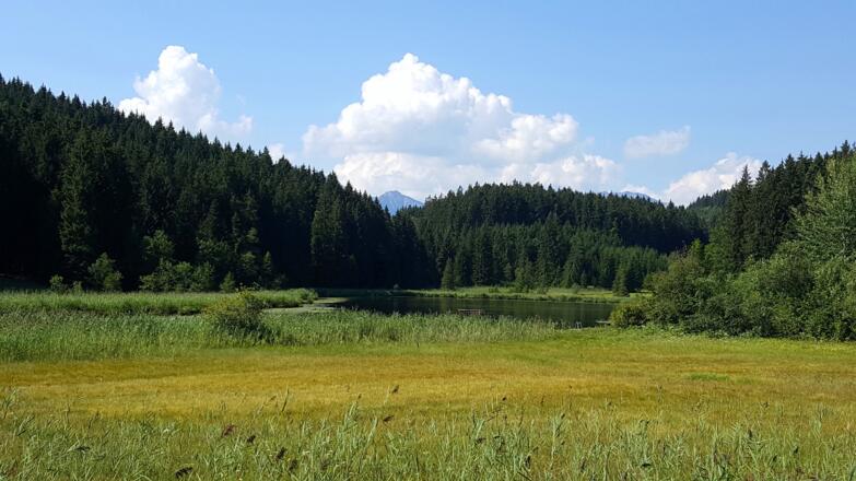 Faulensee