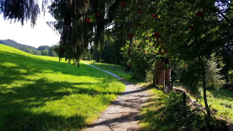 Schöne Pfade und gepflegte Wege gibt es auf der gesamten Strecke