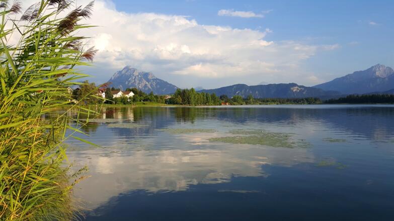 Hopfensee mit Blick auf die Alpenkette
