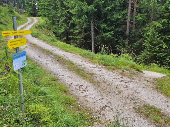 Den Fahrweg überqueren und weiter am Steig
