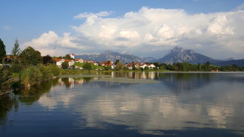 Hopfen am Hopfensee
