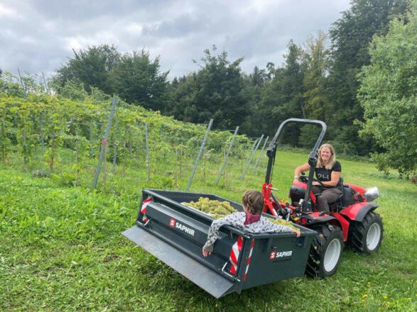 Voll im Einsatz - Weinlese 2022, Weingut 2H