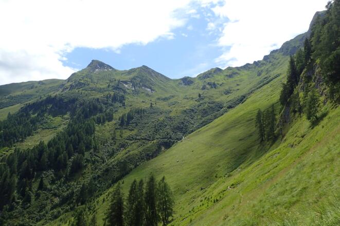 Am Bettlersteig, im Hintergrund der Kar Katzenkopf