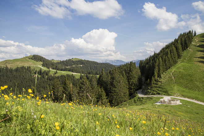 Nordic Walking Höhen-Trail Hörnle - am mittleren Hörnle