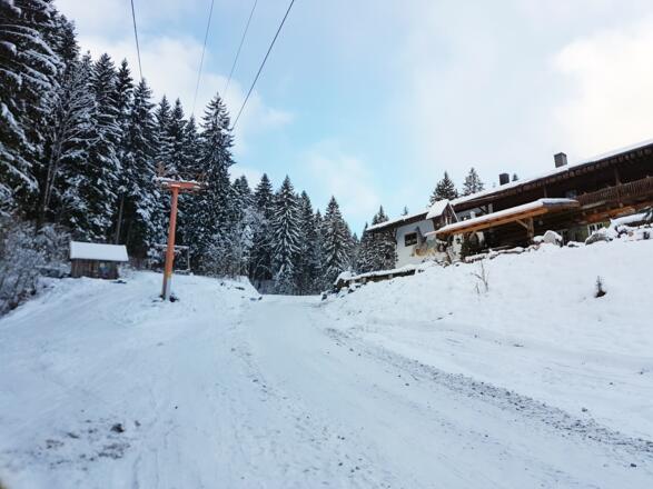 Ab der Kolbenalm wird der Waldweg nicht mehr geräumt