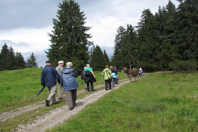 Wanderung - Haselbachweg