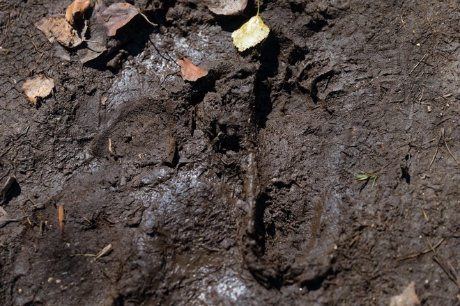 Barfußlehrpfad Bad Bayersoien