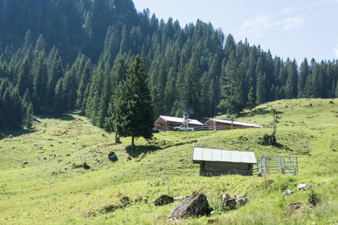 Blick auf die Soila-Alm