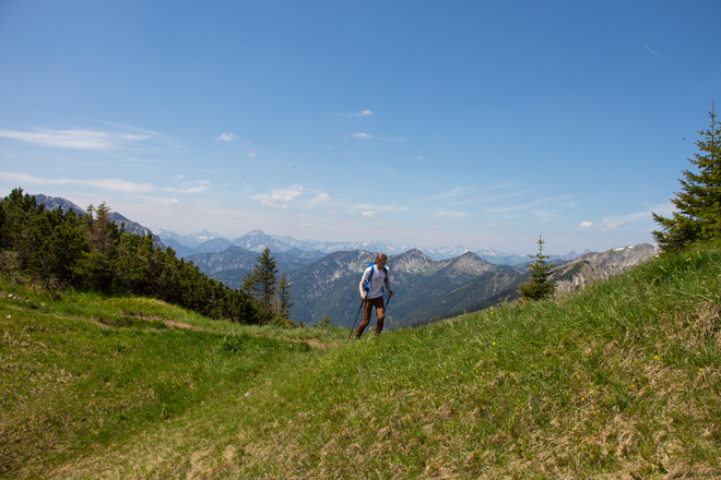 Wiese kurz vor dem Gipfelanstieg