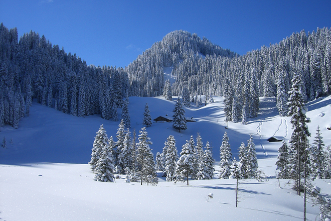 Schneeschuhwanderung Laber - an der Soila-Alm