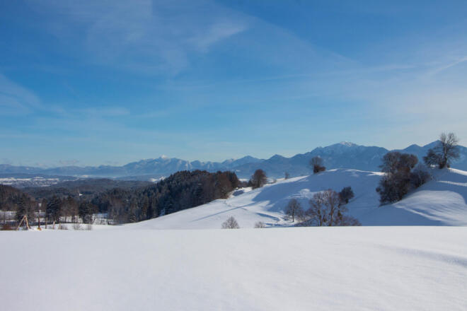 Winterwanderung - Rantscher Weiher