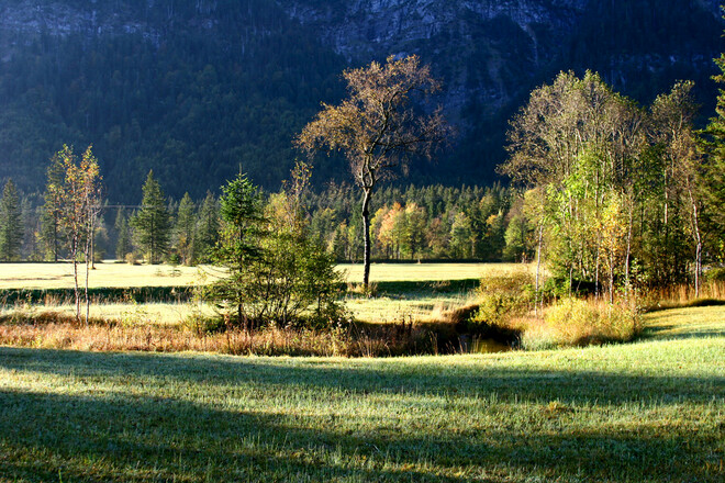 Wanderung - Rund um Kloster Ettal